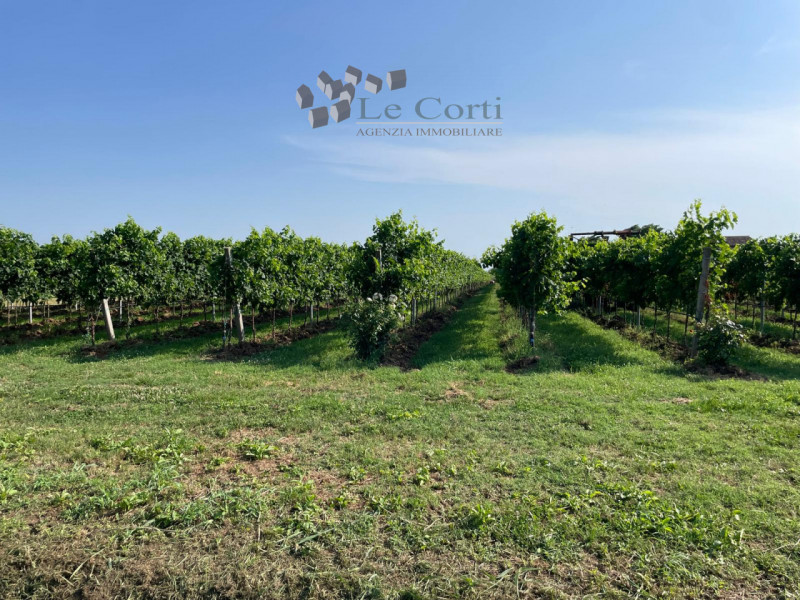 Proponiamo in vendita a San Sebastiano di Cologna Veneta un affascinante rustico del XIX secolo, ...