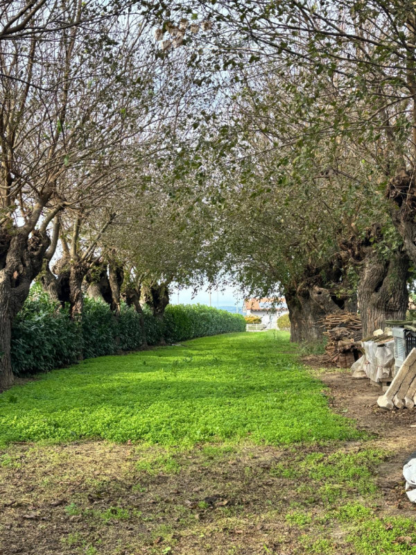 Proponiamo in vendita a San Sebastiano di Cologna Veneta un affascinante rustico del XIX secolo, ...