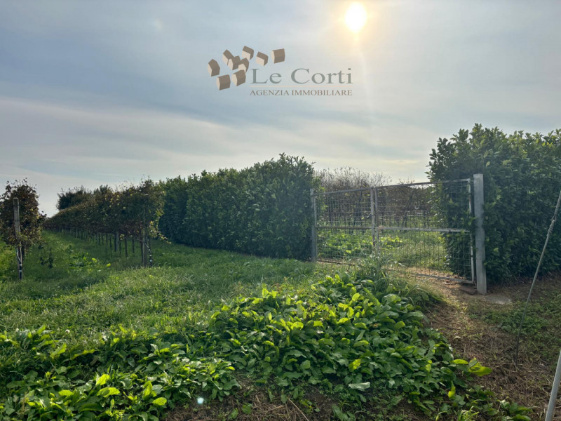 Proponiamo in vendita a San Sebastiano di Cologna Veneta un affascinante rustico del XIX secolo, ...