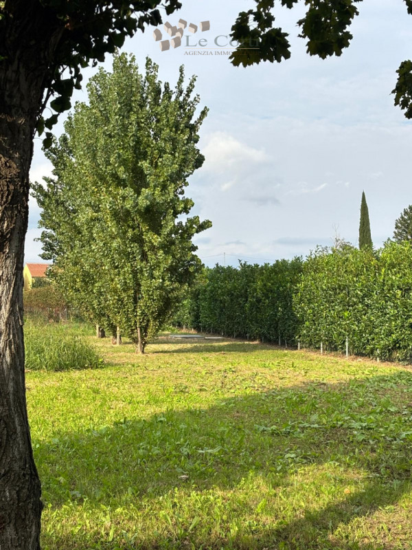 Proponiamo in vendita a San Sebastiano di Cologna Veneta un affascinante rustico del XIX secolo, ...