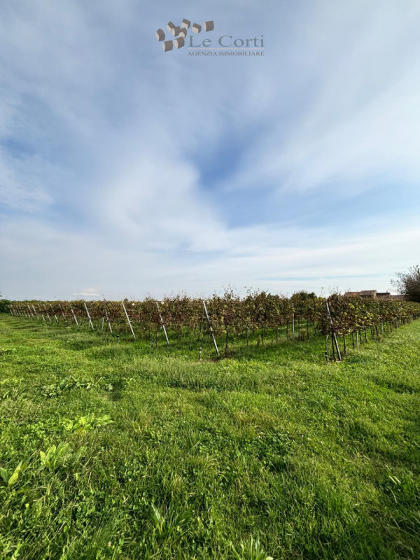 Proponiamo in vendita a San Sebastiano di Cologna Veneta un affascinante rustico del XIX secolo, ...