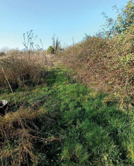 Rif. A.A.86-23

Vendita all'asta - terreno agricolo in data 11 dicembre 2025

Descrizione: tratta...