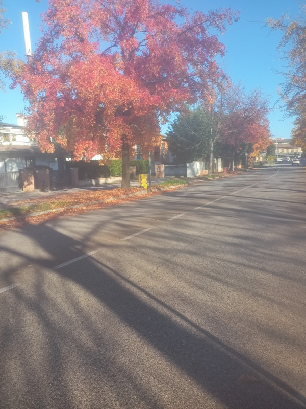 Scopri questa bellissima porzione di bifamiliare situata nella zona più affascinante di Sarmeola,...