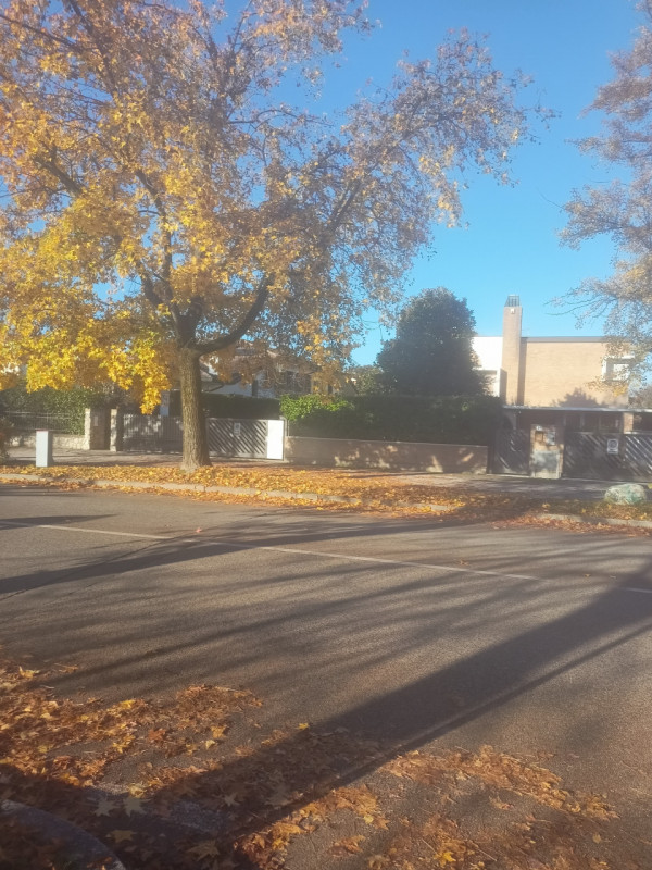 Scopri questa bellissima porzione di bifamiliare situata nella zona più affascinante di Sarmeola,...