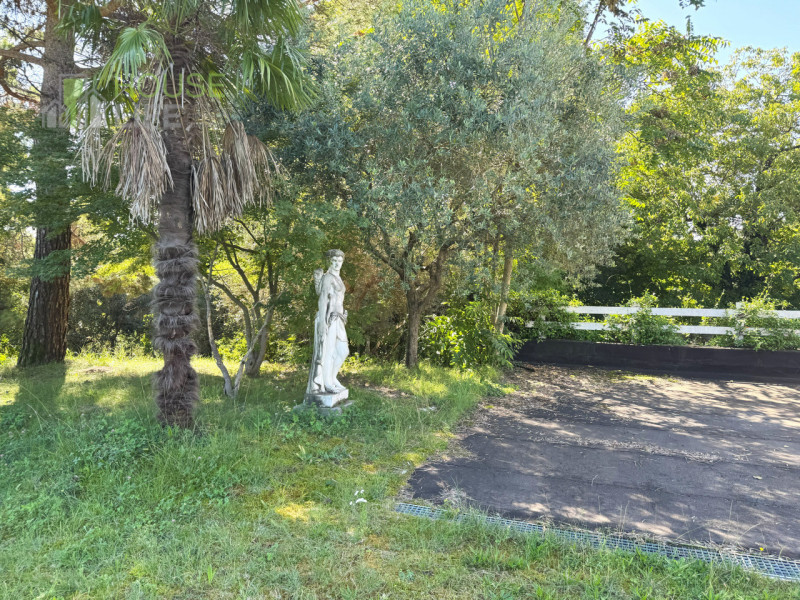 FARA VICENTINO: proprietà agricola di 5 ettari, in splendida posizione collinare con vigneto prod...