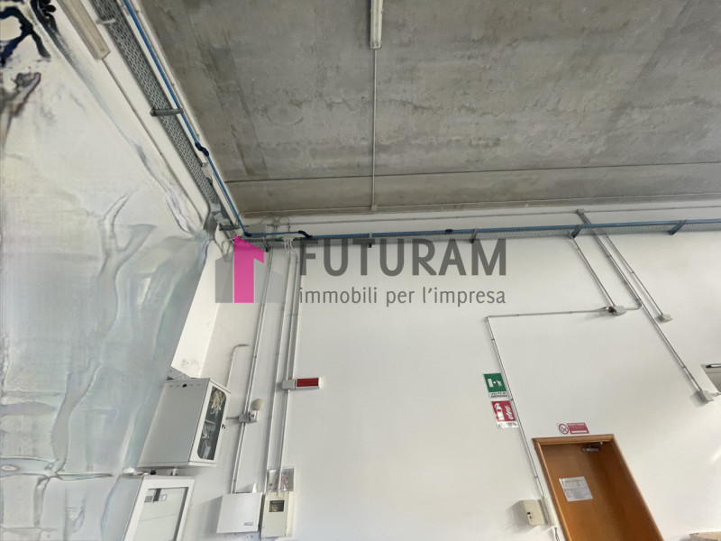 RIF: 100.V.NM - ALBIGNASEGO (PD) - PER INFO 340 335 8378 - 0444/310220


Propongo in vendita un c...