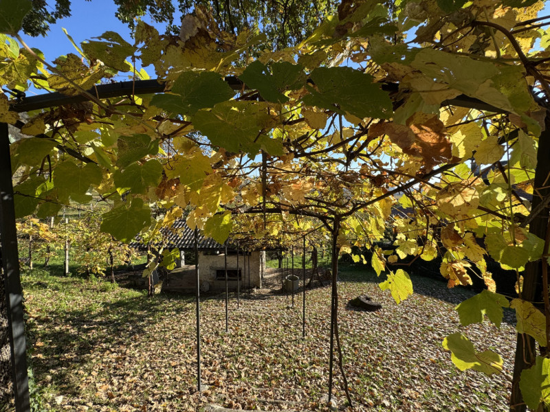 Immerso nelle colline dell’UNESCO, AMPIO E CARATTERISTICO CASALE con SCOPERTO PRIVATO piantumato ...