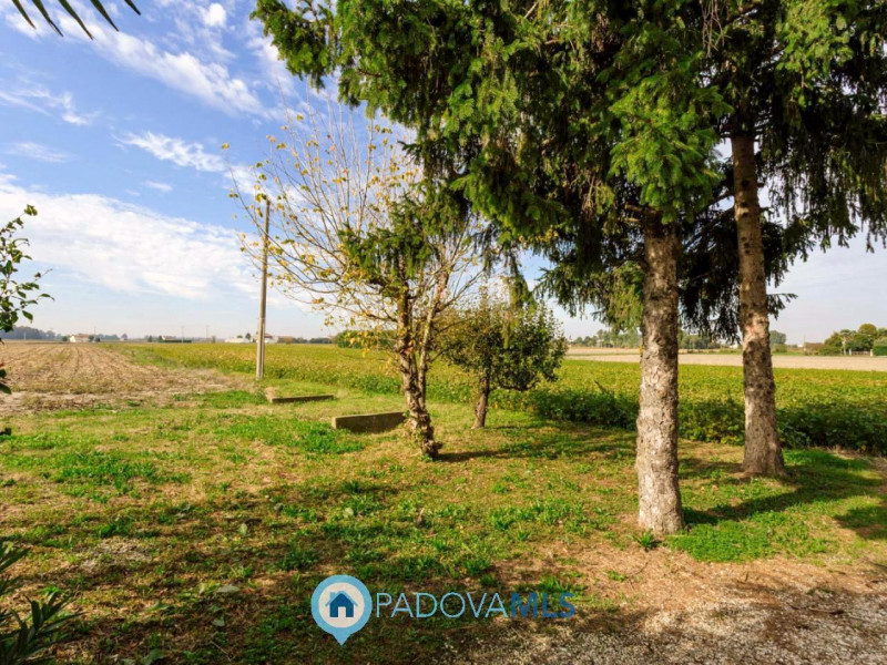 Immobile in esclusiva al Gruppo Padova MLS

Immersa nel verde ma comodamente vicina al centro del...