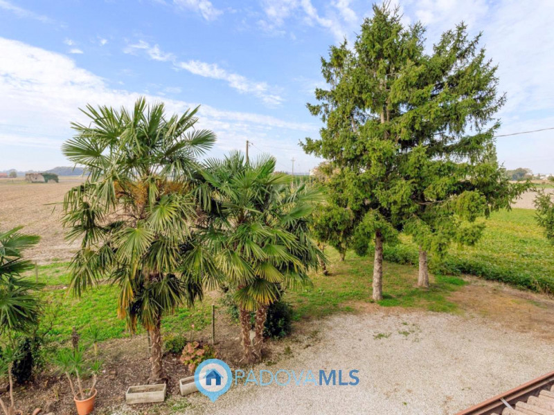 Immobile in esclusiva al Gruppo Padova MLS

Immersa nel verde ma comodamente vicina al centro del...