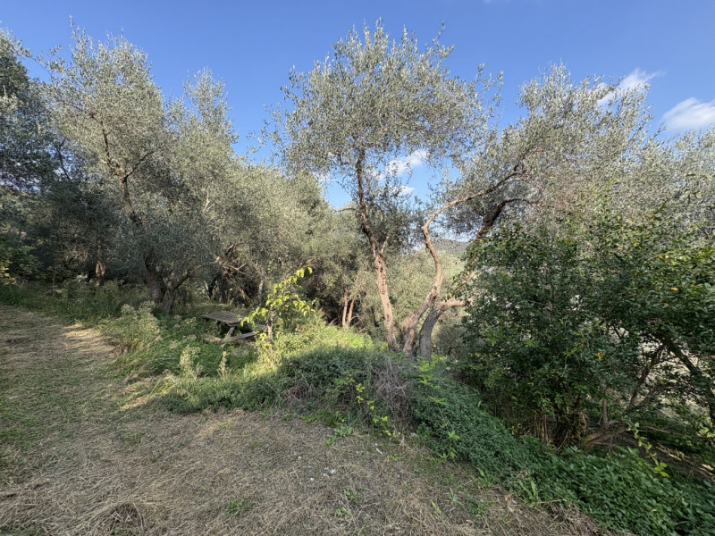 Nel cuore verde dei Colli Euganei, in una delle zone più suggestive di Galzignano Terme, proponia...