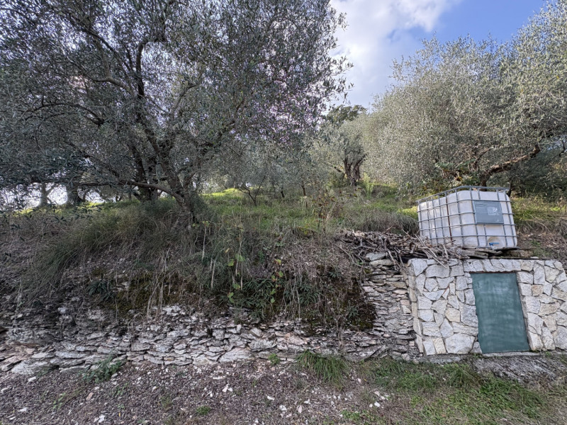 Nel cuore verde dei Colli Euganei, in una delle zone più suggestive di Galzignano Terme, proponia...