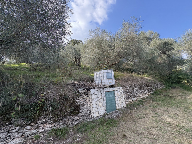 Nel cuore verde dei Colli Euganei, in una delle zone più suggestive di Galzignano Terme, proponia...