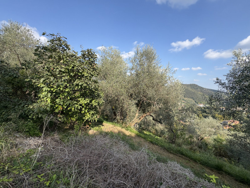 Nel cuore verde dei Colli Euganei, in una delle zone più suggestive di Galzignano Terme, proponia...