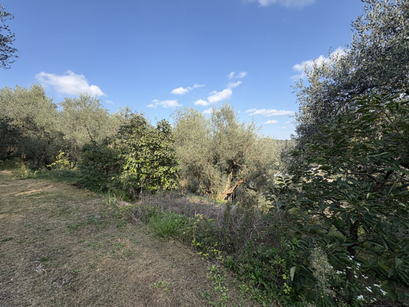 Nel cuore verde dei Colli Euganei, in una delle zone più suggestive di Galzignano Terme, proponia...