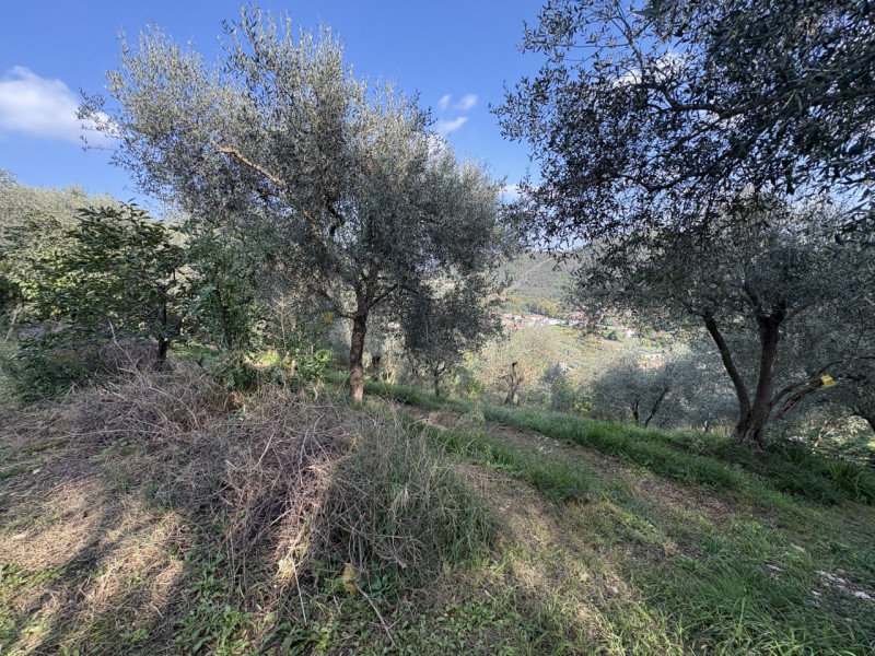 Nel cuore verde dei Colli Euganei, in una delle zone più suggestive di Galzignano Terme, proponia...