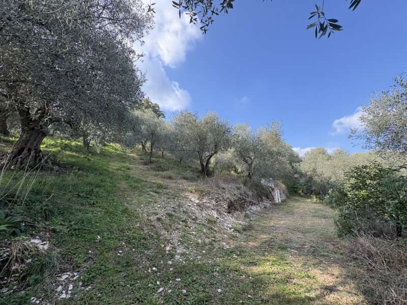 Nel cuore verde dei Colli Euganei, in una delle zone più suggestive di Galzignano Terme, proponia...