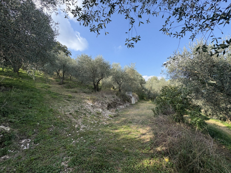 Nel cuore verde dei Colli Euganei, in una delle zone più suggestive di Galzignano Terme, proponia...