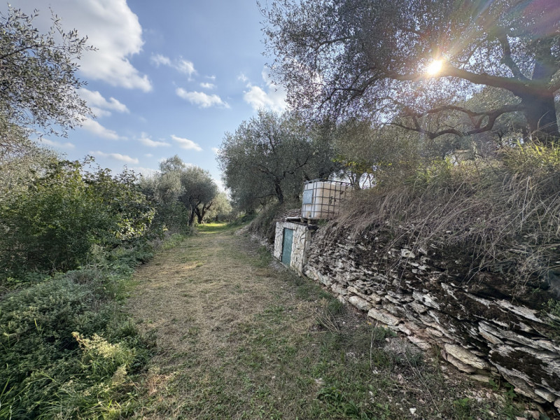 Nel cuore verde dei Colli Euganei, in una delle zone più suggestive di Galzignano Terme, proponia...