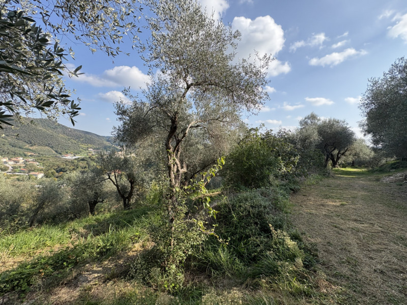 Nel cuore verde dei Colli Euganei, in una delle zone più suggestive di Galzignano Terme, proponia...