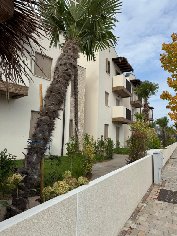 Immersi in un paesaggio caraibico tra sabbia bianca e palme verdi, in un residence dallo stile un...