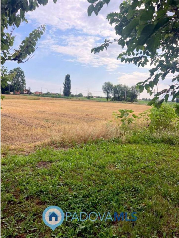 Immobile in esclusiva al Gruppo Padova MLS

Vendesi a Solesino porzione di bifamiliare con ampio ...