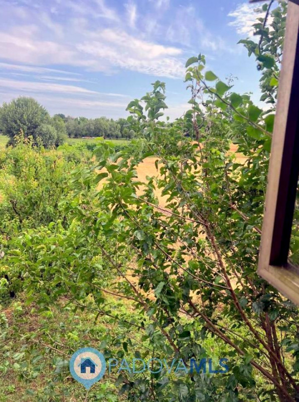 Immobile in esclusiva al Gruppo Padova MLS

Vendesi a Solesino porzione di bifamiliare con ampio ...