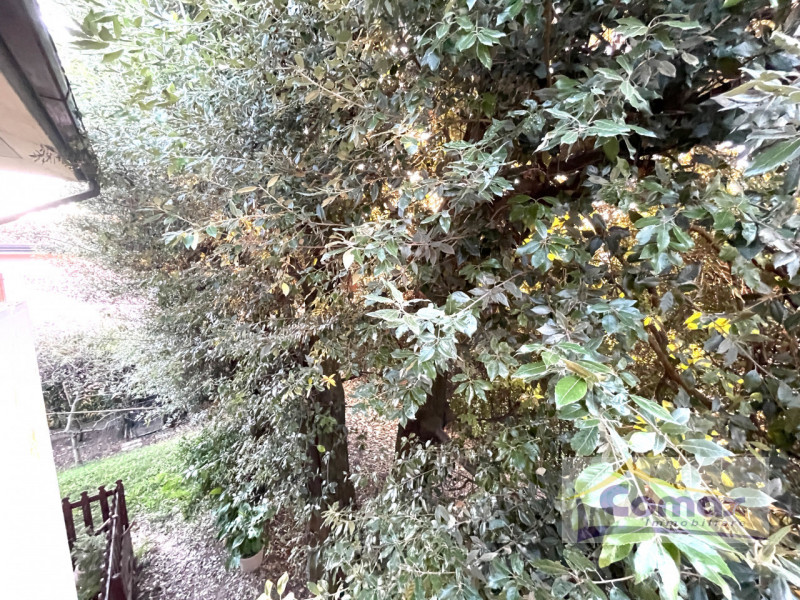 Abano Terme, Monterosso, proponiamo in vendita una bellissima villa singola disposta su 3 livelli...