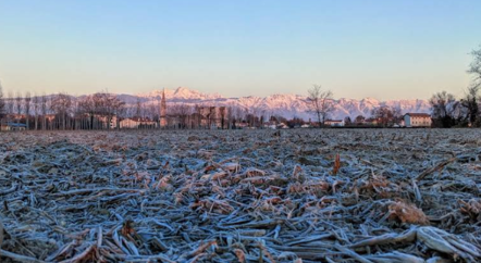 Rif. A.A.3272-202

Vendita all'asta - terreno agricolo in data 17 dicembre 2025

Descrizione: tra...