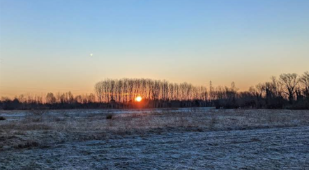 Rif. A.A.3272-202

Vendita all'asta - terreno agricolo in data 17 dicembre 2025

Descrizione: tra...