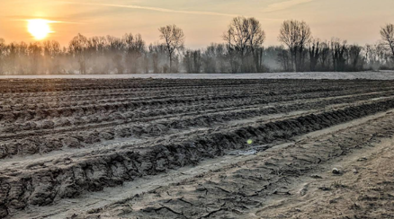 Rif. A.A.3272-202

Vendita all'asta - terreno agricolo in data 17 dicembre 2025

Descrizione: tra...