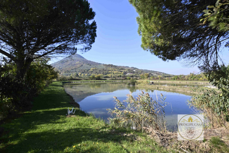 Rif. ATT3 - Proponiamo in vendita, in posizione di alto passaggio, una trattoria attiva di ben 31...