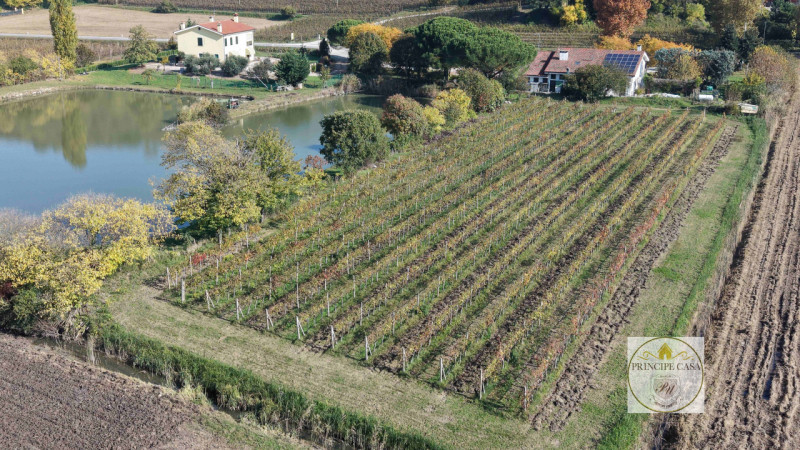 Rif. ATT3 - Proponiamo in vendita, in posizione di alto passaggio, una trattoria attiva di ben 31...