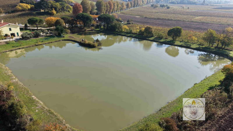 Rif. ATT3 - Proponiamo in vendita, in posizione di alto passaggio, una trattoria attiva di ben 31...