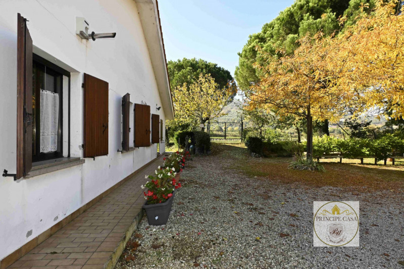 Rif. ATT3 - Proponiamo in vendita, in posizione di alto passaggio, una trattoria attiva di ben 31...