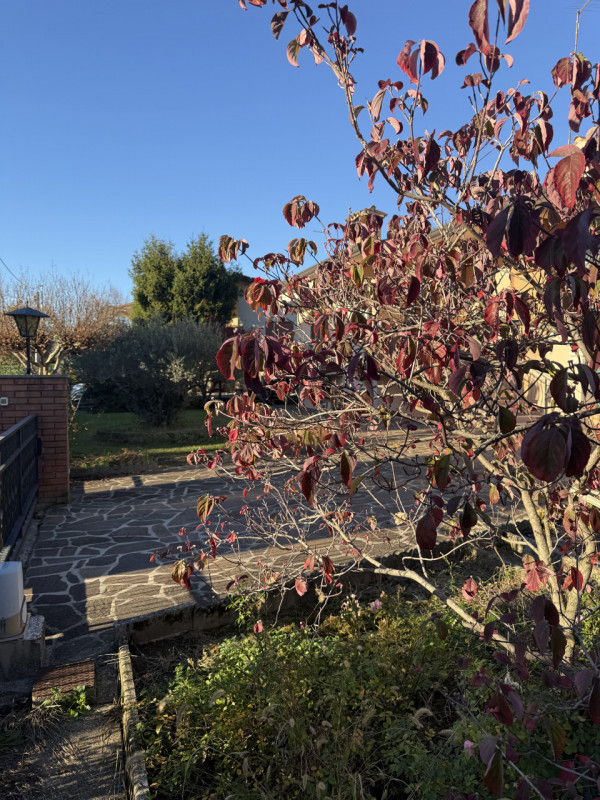 (Per INFO Fabrizio 333 7743912) - Proponiamo in vendita, a circa 1 km dal centro di Montebelluna,...