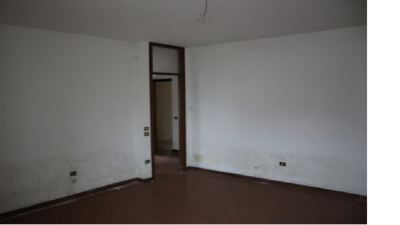 A.Q.2537488-251
                                                                                 ...