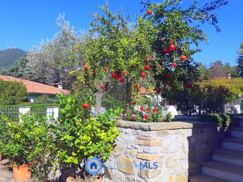 Immobile in esclusiva al Gruppo Padova MLS

Nel suggestivo Comune di Baone proponiamo in vendita ...