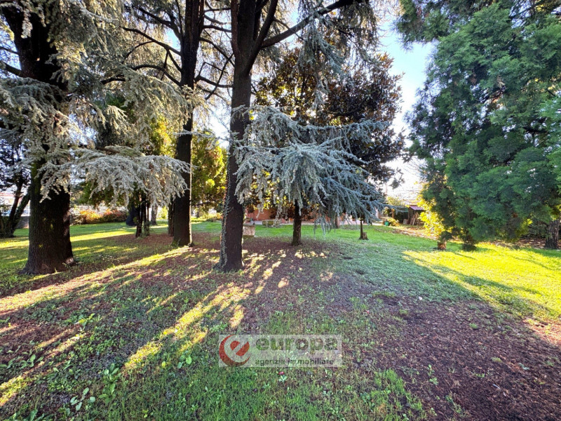 ALTE DI MONTECCHIO MAGGIORE: Proponiamo in vendita, abitazione unifamiliare con parco alberato co...