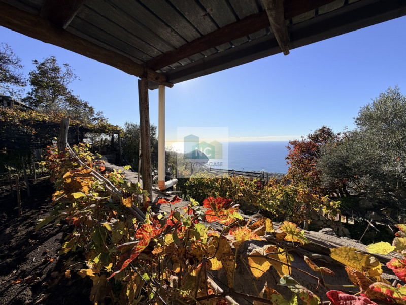 Scoprite la vostra oasi di tranquillità a Forio, nella suggestiva zona di Santa Maria al Monte. P...