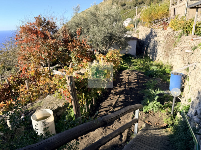 Scoprite la vostra oasi di tranquillità a Forio, nella suggestiva zona di Santa Maria al Monte. P...