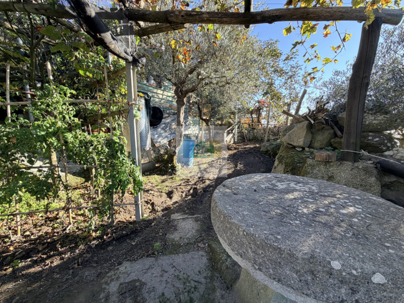 Scoprite la vostra oasi di tranquillità a Forio, nella suggestiva zona di Santa Maria al Monte. P...