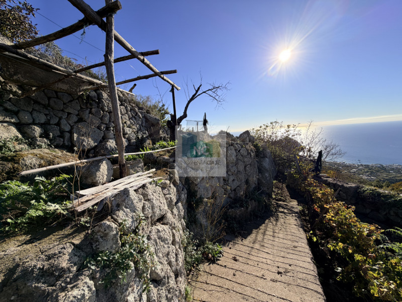 Scoprite la vostra oasi di tranquillità a Forio, nella suggestiva zona di Santa Maria al Monte. P...