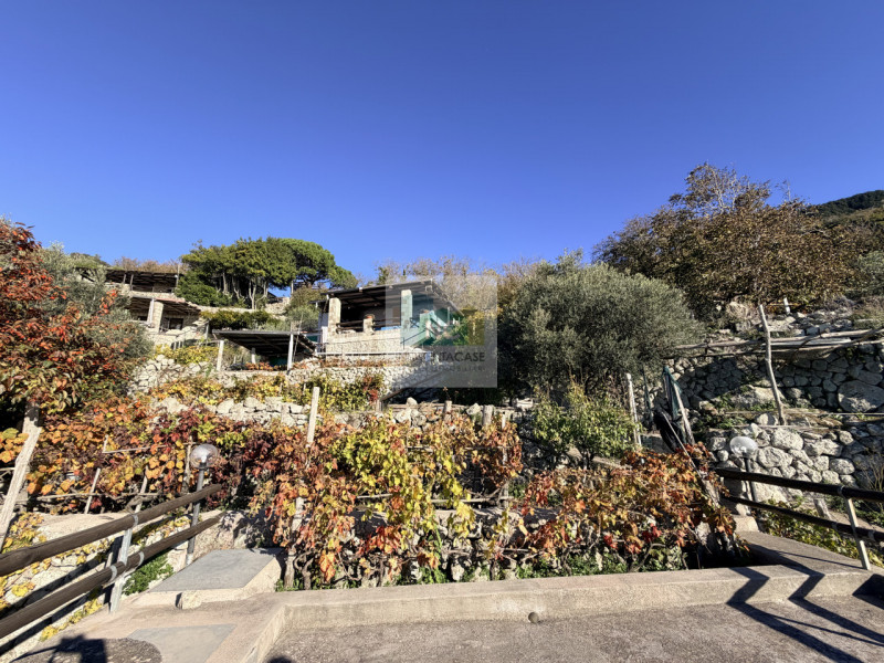 Scoprite la vostra oasi di tranquillità a Forio, nella suggestiva zona di Santa Maria al Monte. P...