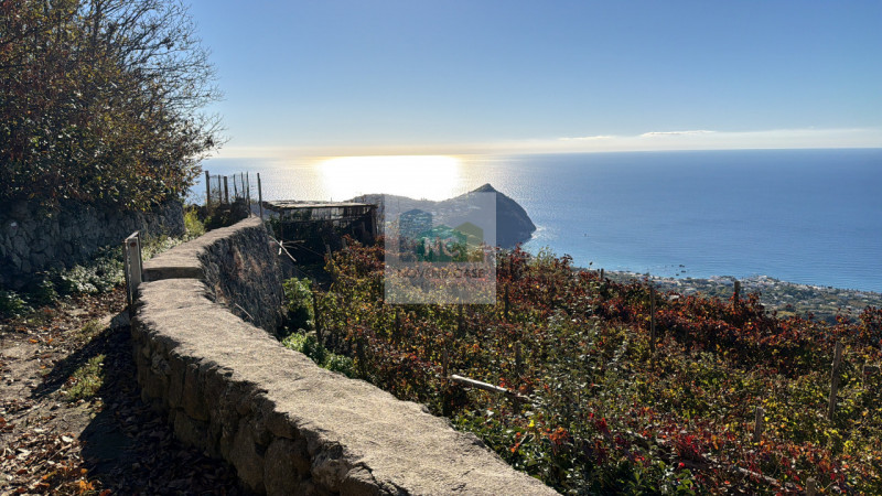 Scoprite la vostra oasi di tranquillità a Forio, nella suggestiva zona di Santa Maria al Monte. P...