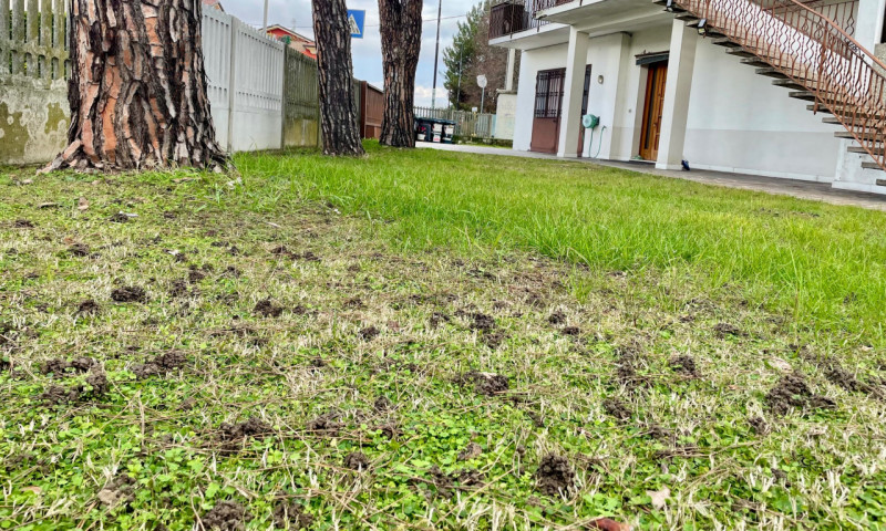 Zona centralissima, quartiere residenziale con massima comodità ai servizi. Immobile sviluppato i...