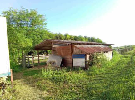 Rif. A.A.91-233

Vendita all'asta - stalla per cavalli con terreno in data 17 dicembre  2025

Des...