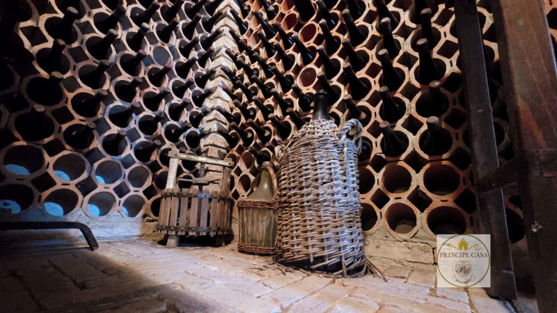 Rif. S401 - Incastonata all'interno del gradevole panorama dei Colli Euganei, a pochi minuti dal ...