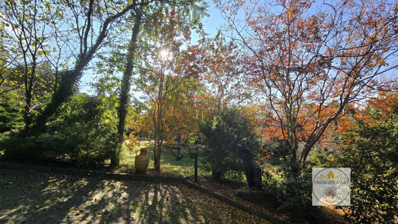 Rif. S401 - Incastonata all'interno del gradevole panorama dei Colli Euganei, a pochi minuti dal ...