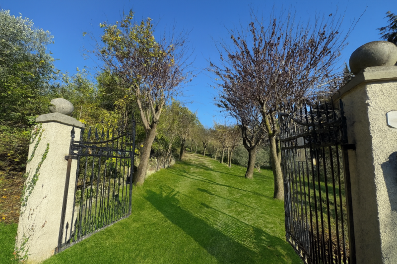 Nel cuore dei colli di Cordignano, AMPIO E TRNAQUILLO CASALE, immerso nel verde e nella pace. La ...