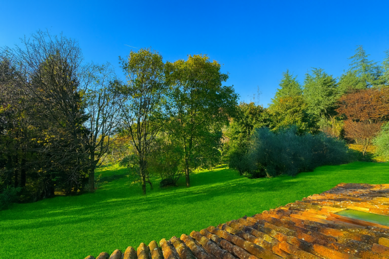 Nel cuore dei colli di Cordignano, AMPIO E TRNAQUILLO CASALE, immerso nel verde e nella pace. La ...